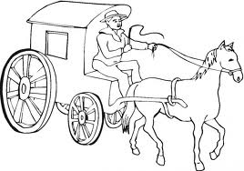 Horse 11